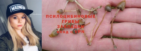 тгк Абинск