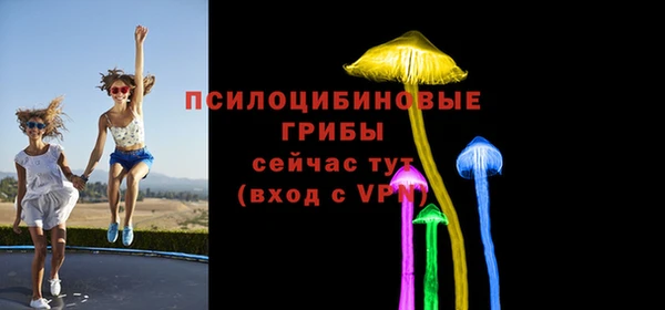 спайс Пестово