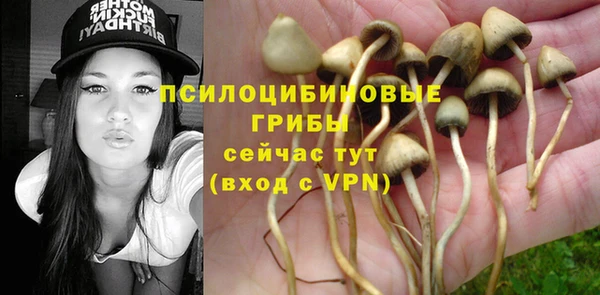 spice Абдулино