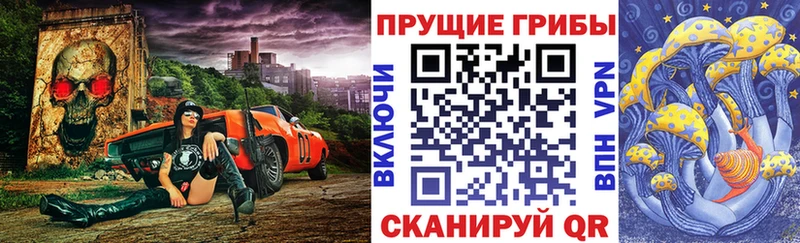 Галлюциногенные грибы Psilocybine cubensis  закладка  Карталы 